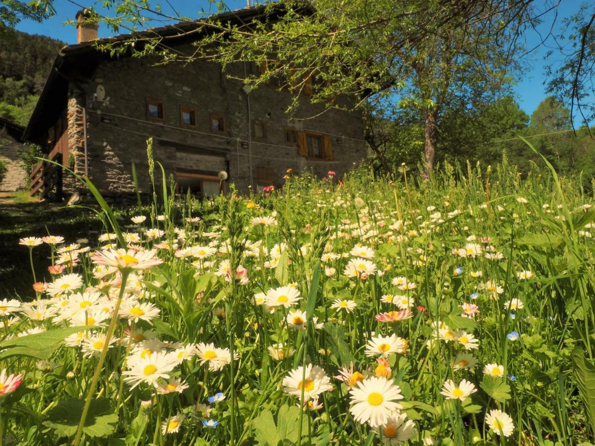 라살 Grange Epiney Bed E Breakfast B&B 외부 사진