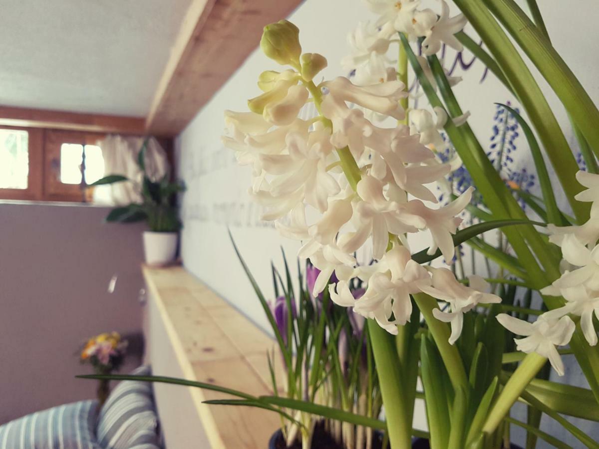 라살 Grange Epiney Bed E Breakfast B&B 외부 사진